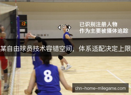 某自由球员技术容错空间，体系适配决定上限
